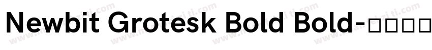 Newbit Grotesk Bold Bold字体转换